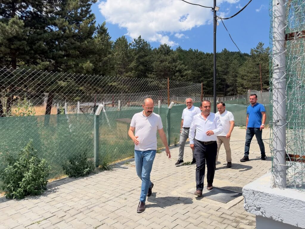 seeig_post_3946206032388735260_3