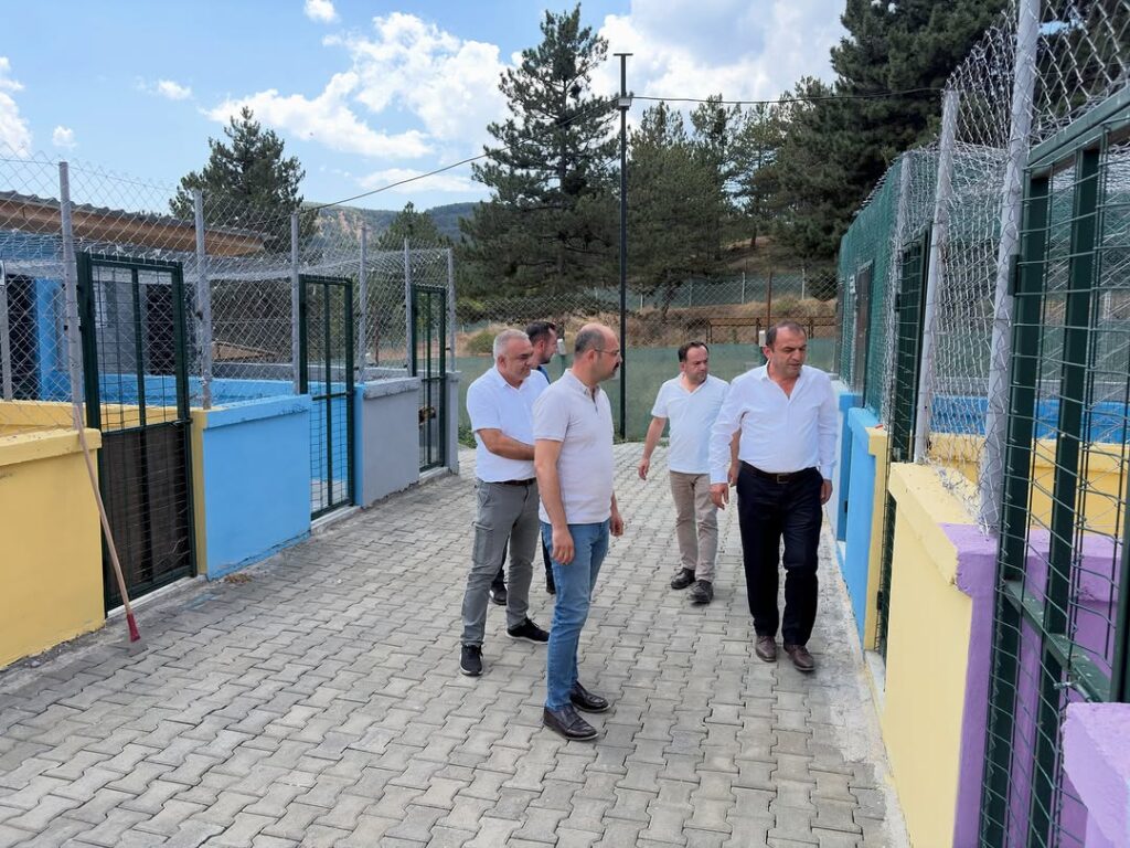 seeig_post_3946206032388735260_4