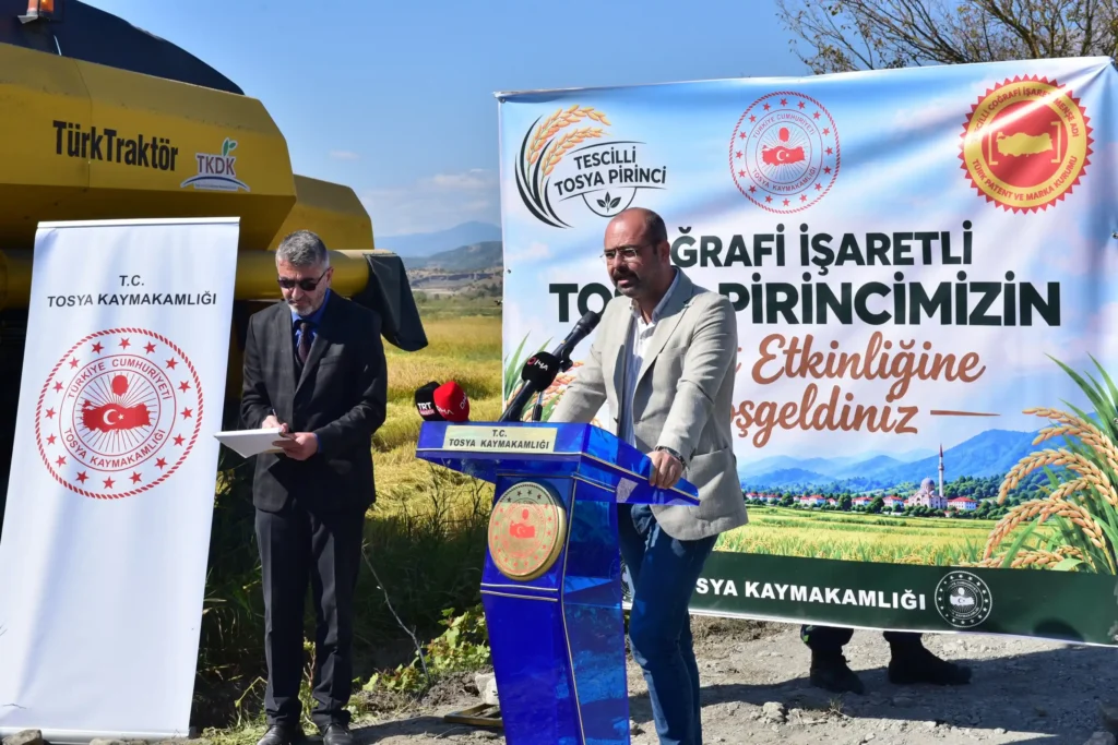 tosyabld_1791297967_4002019504218561652_1976306086