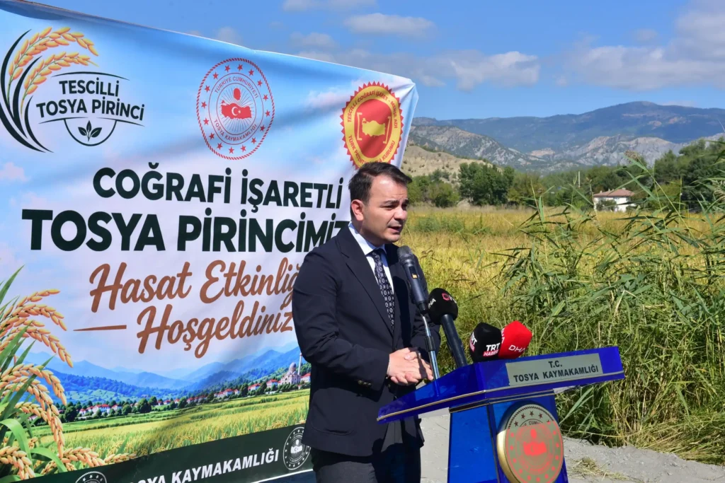 tosyabld_1791297967_4002019510250000237_1976306086