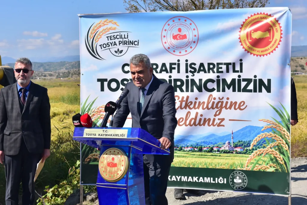 tosyabld_1791297967_4002019513018211348_1976306086